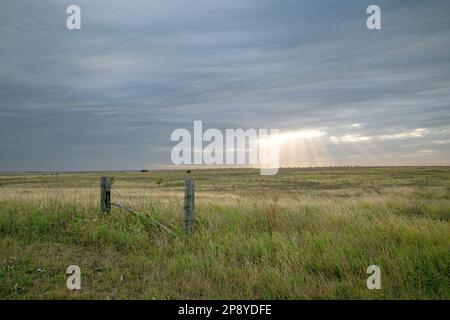 Goldene Sonnenstrahlen strahlen durch wolkigen grauen Himmel über einem flachen Grasfeld mit einem Holzzaun im Vordergrund. Tiere und Heu in der Ferne. Stockfoto