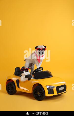 Lustiger Hund und Katze mit Sonnenbrille im Spielzeugauto auf gelbem Hintergrund Stockfoto