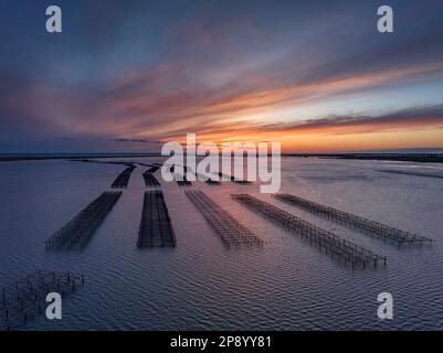 Blick aus der Vogelperspektive auf die Muschelfarmen der Fangar-Bucht bei einem rötlichen Sonnenaufgang im Ebro-Delta (Tarragona, Katalonien, Spanien) Stockfoto