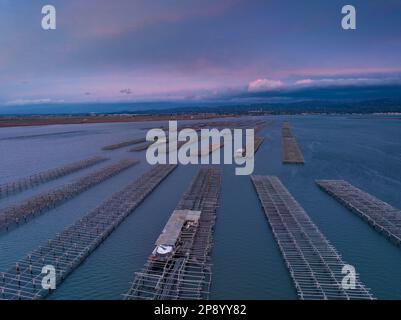 Blick aus der Vogelperspektive auf die Muschelfarmen der Fangar-Bucht bei einem rötlichen Sonnenaufgang im Ebro-Delta (Tarragona, Katalonien, Spanien) Stockfoto