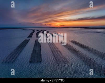 Blick aus der Vogelperspektive auf die Muschelfarmen der Fangar-Bucht bei einem rötlichen Sonnenaufgang im Ebro-Delta (Tarragona, Katalonien, Spanien) Stockfoto