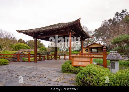 Die Gedenkgärten von Edogawa im Gosford Regional Gallery Viertel waren ein Geschenk der Stadt Edogawa und basieren auf einem traditionellen Shuyu-Garten Stockfoto