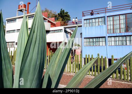 Mexiko-Stadt, San Angel Museo Casa Estudio Diego Rivera y Frida Kahlo, House Studio Museum, Architekt Juan O'Gorman, Kaktushecke, Agave Pflanze, Außenbereich Stockfoto