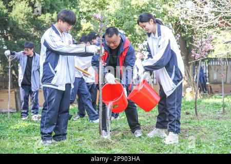 HUZHOU, CHINA - 10. MÄRZ 2023 - Freiwillige und Studenten bewässern einen neu gepflanzten Sapling am Technician College in Huzhou, Ostchina, Provinz Zhejiang Stockfoto