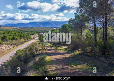 Örtliche Straße CC-168 in Granadilla am Stadtrand von Spanien. Preisgünstige Straße Stockfoto