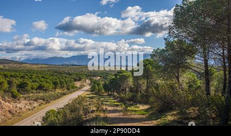 Örtliche Straße CC-168 in Granadilla am Stadtrand von Spanien. Preisgünstige Straße Stockfoto