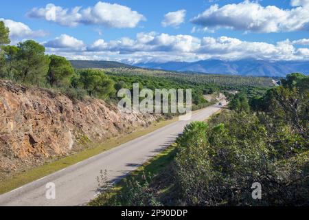 Örtliche Straße CC-168 in Granadilla am Stadtrand von Spanien. Preisgünstige Straße Stockfoto