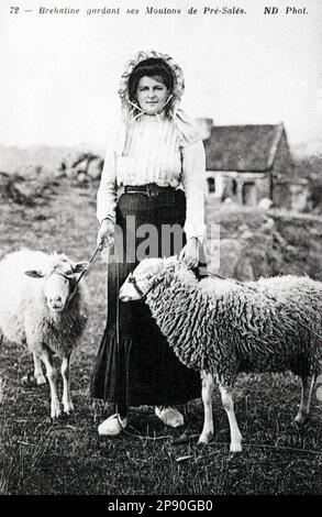 Claude Lacourarie - Bretonfotograf - das ländliche Leben der Bretagne um 1900 - Ile de Brehat Shepherdess mit Schafen Stockfoto