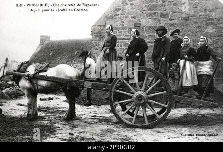 Claude Lacourarie - bretonischer Fotograf - Landleben der Bretagne um 1900 - Ernte der Algen in Penmarch im Bigouden-Land. Stockfoto