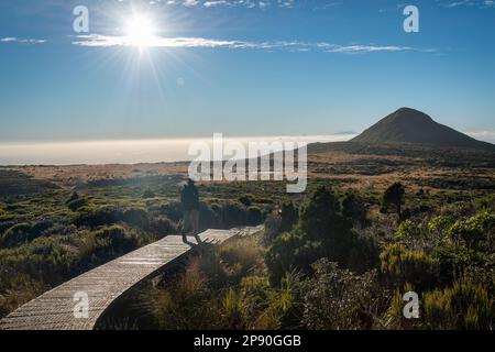 Bild mit Hintergrundbeleuchtung einer Pouakai-Wanderstrecke auf der Promenade, Sternenblende der Sonne am blauen Himmel. Taranaki. Stockfoto