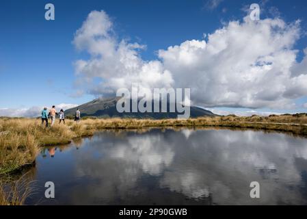 Vier Personen wandern Pouakai Tarn. Mt Taranaki in den weißen Wolken, reflektiert im tarn. Taranaki. Neuseeland. Stockfoto