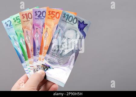 Barbados-Geld - eine neue Banknotenserie auf grauem Hintergrund Stockfoto