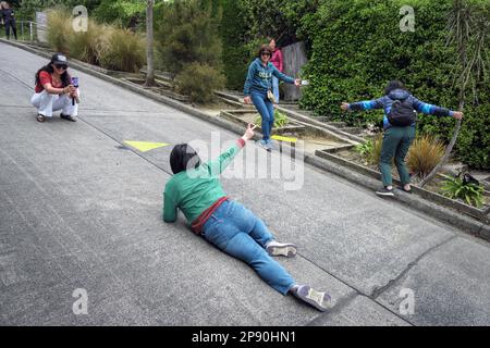 Touristen fotografieren auf der steilsten Straße der Welt - Baldwin Street, Dunedin, South Island, Neuseeland, 2022 Stockfoto
