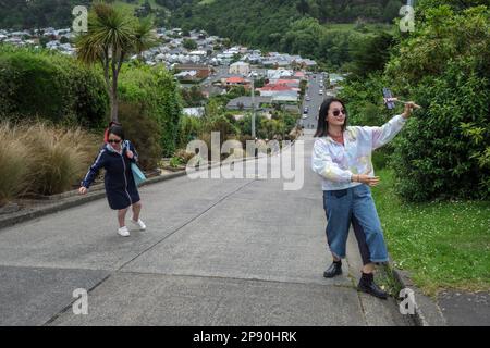 Touristen fotografieren auf der steilsten Straße der Welt - Baldwin Street, Dunedin, South Island, Neuseeland, 2022 Stockfoto