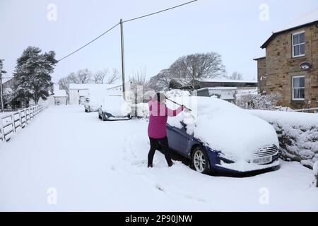 Teesdale, County Durham, Großbritannien. 10. März 2023 Wetter in Großbritannien. Nach heftigem Schneefall beginnt eine Frau in Teesdale, County Durham, Schnee von ihrem Auto zu entfernen. Derzeit gibt es eine gelbe Wetterwarnung, aber es wird erwartet, dass sich die Bedingungen im Laufe des Tages verbessern. Kredit: David Forster/Alamy Live News Stockfoto