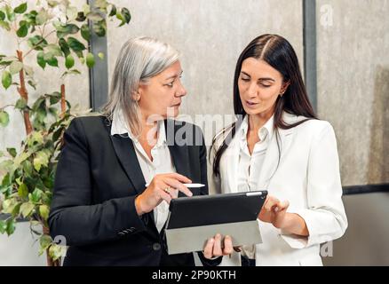 Konzentrierte weibliche Kollegen in formeller Kleidung stehen im modernen Büro und arbeiten gemeinsam an einem Projekt mit einem Tablet Stockfoto