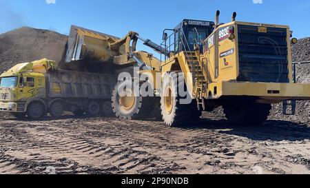 Radlader, der Kohle auf Lkw lädt und auf einer riesigen Bergbaustelle arbeitet. Stockfoto