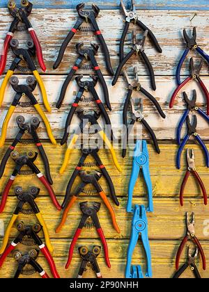 Zange mit farbigen Griffen, die an Reihen an der Wand hängen. Werkzeugtafel, selektiver Fokus. Organisationskonzept Stockfoto