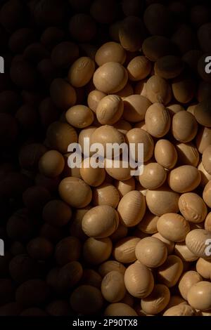 Nahaufnahme von Sojabohnensamen mit Sonnenlicht. Sojabohnen. Soja. Gesunde Produkte. Veganer. Stockfoto