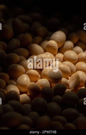 Nahaufnahme von Sojabohnensamen mit Sonnenlicht. Sojabohnen. Soja. Gesunde Produkte. Veganer. Stockfoto