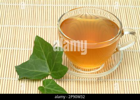 Efeutee, Tee aus Efeublttern, Krutertee, heiltee, medizinische  Verwendung, Tee aus Efeu, Krutertee, Heiltee, Hedera Helix, Edera, Tass  Stockfotografie - Alamy