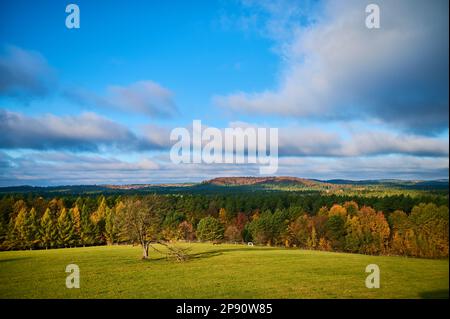 Ein riesiges Herbstpanorama mit Roztocze-Hügeln und Wäldern Stockfoto