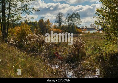 Ländliche Landschaft von Feuchtwiesen und Waldgebieten Stockfoto