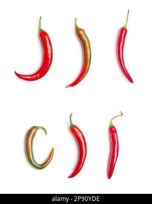 Rote Chili-Paprika. Heiße Gewürzpaprika, isoliert auf weißem Hintergrund. Stockfoto