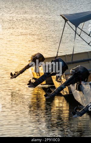 Eine Reihe von drei Außenbordmotorbooten in einer Reihe, die in ruhigem Wasser in der späten Nachmittagssonne in New South Wales, Australien, geparkt sind Stockfoto