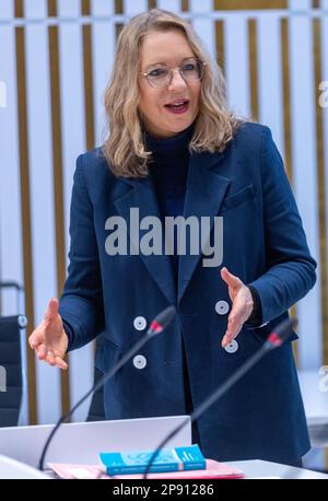 Schwerin, Deutschland. 10. März 2023. Claudia Kemfert, eine Expertin des Deutschen Instituts für Wirtschaftsforschung, spricht vor ihrer Anhörung im Parlamentarischen Untersuchungsausschuss (PUA) des landesparlaments Mecklenburg-Vorpommern über die MV-Klimastiftung mit Ausschussmitgliedern. Kemfert hatte den Bau der Nord Stream-2-Gaspipeline frühzeitig für unnötig erachtet. Seit ihrer Gründung im Jahr 2021 wird die Climate Foundation dafür kritisiert, die Fertigstellung der deutsch-russischen Pipeline zu unterstützen. Kredit: Jens Büttner/dpa/Alamy Live News Stockfoto