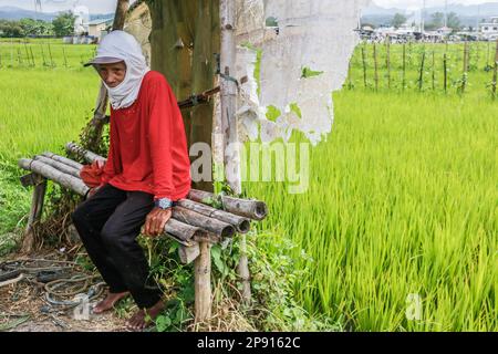 Ein Landwirt macht eine Pause unter einem provisorischen Haus auf einem kleinen Ackerland in Teresa. Die Landwirte auf den Philippinen stehen vor einer Vielzahl sozialer Probleme. Eines der schwerwiegendsten sozialen Probleme ist die Landlosigkeit, die durch die unzureichende Unterstützung der Regierung noch verschärft wird. Viele philippinische Bauern sind gezwungen, als Pächter oder Teilhaber zu arbeiten, wobei sie wenig Sicherheit und Kontrolle über ihr eigenes Land haben. Darüber hinaus leiden die Landwirte unter den drohenden Düngemittelpreisen, die über 2000 Pesos (40 USD) pro Sack liegen, was zu einem niedrigen Einkommen führt und sich negativ auf ihren Lebensunterhalt auswirkt. (Foto: Ryan Eduard Benaid/SOPA im Stockfoto