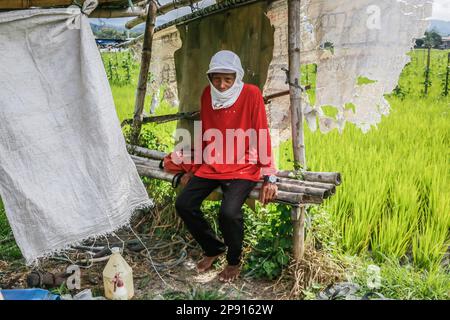 Ein Landwirt macht eine Pause unter einem provisorischen Haus auf einem kleinen Ackerland in Teresa. Die Landwirte auf den Philippinen stehen vor einer Vielzahl sozialer Probleme. Eines der schwerwiegendsten sozialen Probleme ist die Landlosigkeit, die durch die unzureichende Unterstützung der Regierung noch verschärft wird. Viele philippinische Bauern sind gezwungen, als Pächter oder Teilhaber zu arbeiten, wobei sie wenig Sicherheit und Kontrolle über ihr eigenes Land haben. Darüber hinaus leiden die Landwirte unter den drohenden Düngemittelpreisen, die über 2000 Pesos (40 USD) pro Sack liegen, was zu einem niedrigen Einkommen führt und sich negativ auf ihren Lebensunterhalt auswirkt. (Foto: Ryan Eduard Benaid/SOPA im Stockfoto
