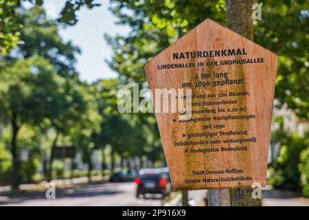 Bilder aus Dessau Roßlau Stockfoto