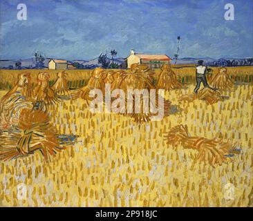 Ernte in der Provence 1888 von Vincent van Gogh Stockfoto