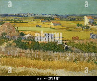 Die Ernte 1888 von Vincent van Gogh Stockfoto