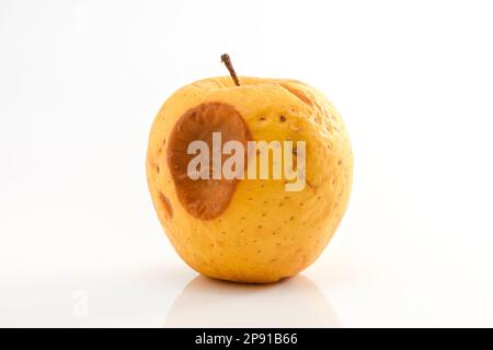 Nahaufnahme eines ganzen gelben faulen Apfels mit einem großen Fleck auf weißem Hintergrund. Stockfoto