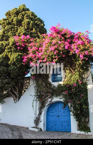 Blaue Tür der traditionellen Architektur des Küstendorfes Sidi Bou Said in Tunesien in Afrika Stockfoto