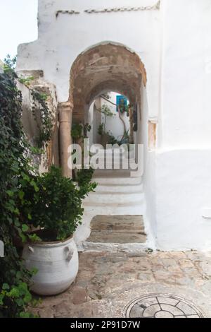 Weiß-blaue Stadt Sidi Bou Said, Tunesien, Nordafrika Stockfoto