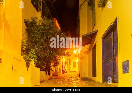 Weiß-blaue Stadt Sidi Bou Said, Tunesien, Nordafrika Stockfoto