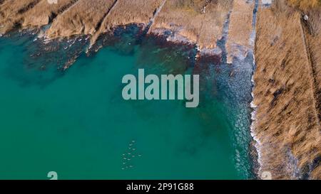 Landschaftsblick auf den See, Balaton in Ungarn. Grüner See. Umgeben von Schilf. Drohnenansicht. Schauen Sie von oben. Stockfoto