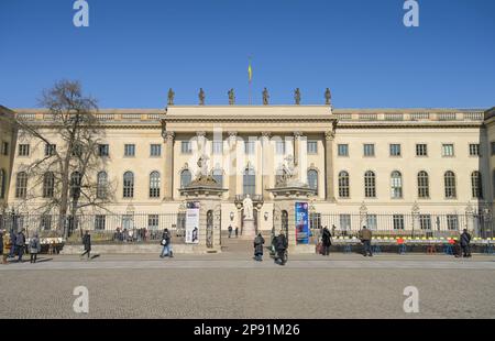 Hauptgebäude, Humboldt-Universität, Unter den Linden, Mitte, Berlin, Deutschland Stockfoto