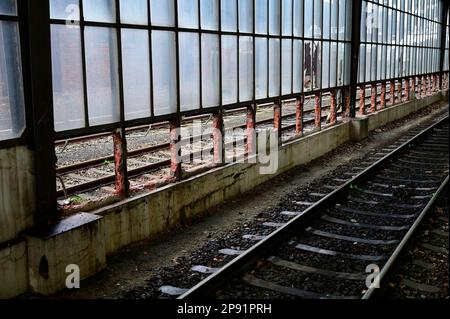 Pressetermin zum offiziellen Baubeginn der Bauarbeiten zur Modernisierung der Bahnhofshalle über den Bahnsteiggleisen des Görlitzer Bahnhofs. Görlitz, Stockfoto