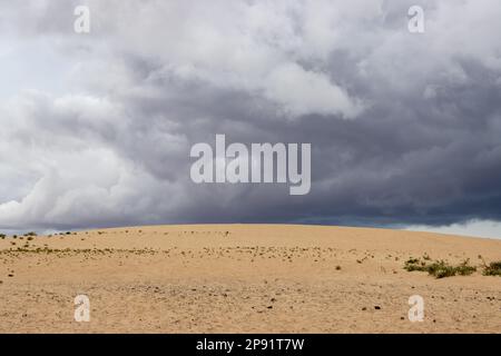 Einzigartige europäische Wüste als Teil des Naturparks. Stürmische Wolken über den Sanddünen in der Wintersaison. Corralejo, Fuerteventura, Kanarische Inseln, Süd Stockfoto