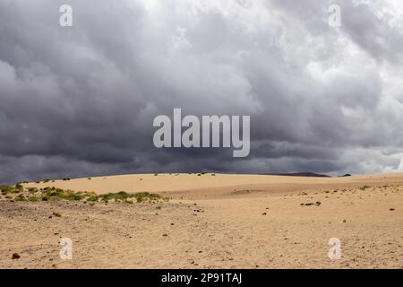 Einzigartige europäische Wüste als Teil des Naturparks. Stürmische Wolken über den Sanddünen in der Wintersaison. Corralejo, Fuerteventura, Kanarische Inseln, Süd Stockfoto