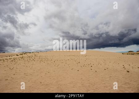 Einzigartige europäische Wüste als Teil des Naturparks. Stürmische Wolken über den Sanddünen in der Wintersaison. Corralejo, Fuerteventura, Kanarische Inseln, Süd Stockfoto