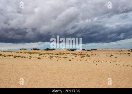 Einzigartige europäische Wüste als Teil des Naturparks. Stürmische Wolken über den Sanddünen in der Wintersaison. Corralejo, Fuerteventura, Kanarische Inseln, Süd Stockfoto