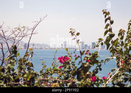 Blick auf die Skyline der asiatischen Stadt Nha Trang durch grüne Äste mit rosafarbenen Blumen. Vietnamesische Stadt wunderschöne Stadtlandschaft über dem Wasser Stockfoto