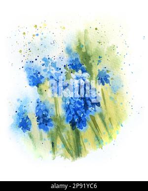 Hand zeichnet Wasserfarben Frühlingsblumen Hyazinthen, blaue Blumen, Punkte, Tropfen, Skizzen Stockfoto