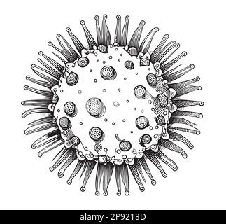 Coronovirus handgezeichnete Skizze Illustration im Doodle-Stil Stock Vektor