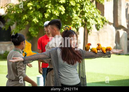 Nha Trang, Vietnam - April 4, 2018: Der Vogel zeigen an vinpearl Vergnügungspark. Jungen asiatischen Mädchen, dass viele bunte Papageien auf ihren Arm und Kopf Stockfoto